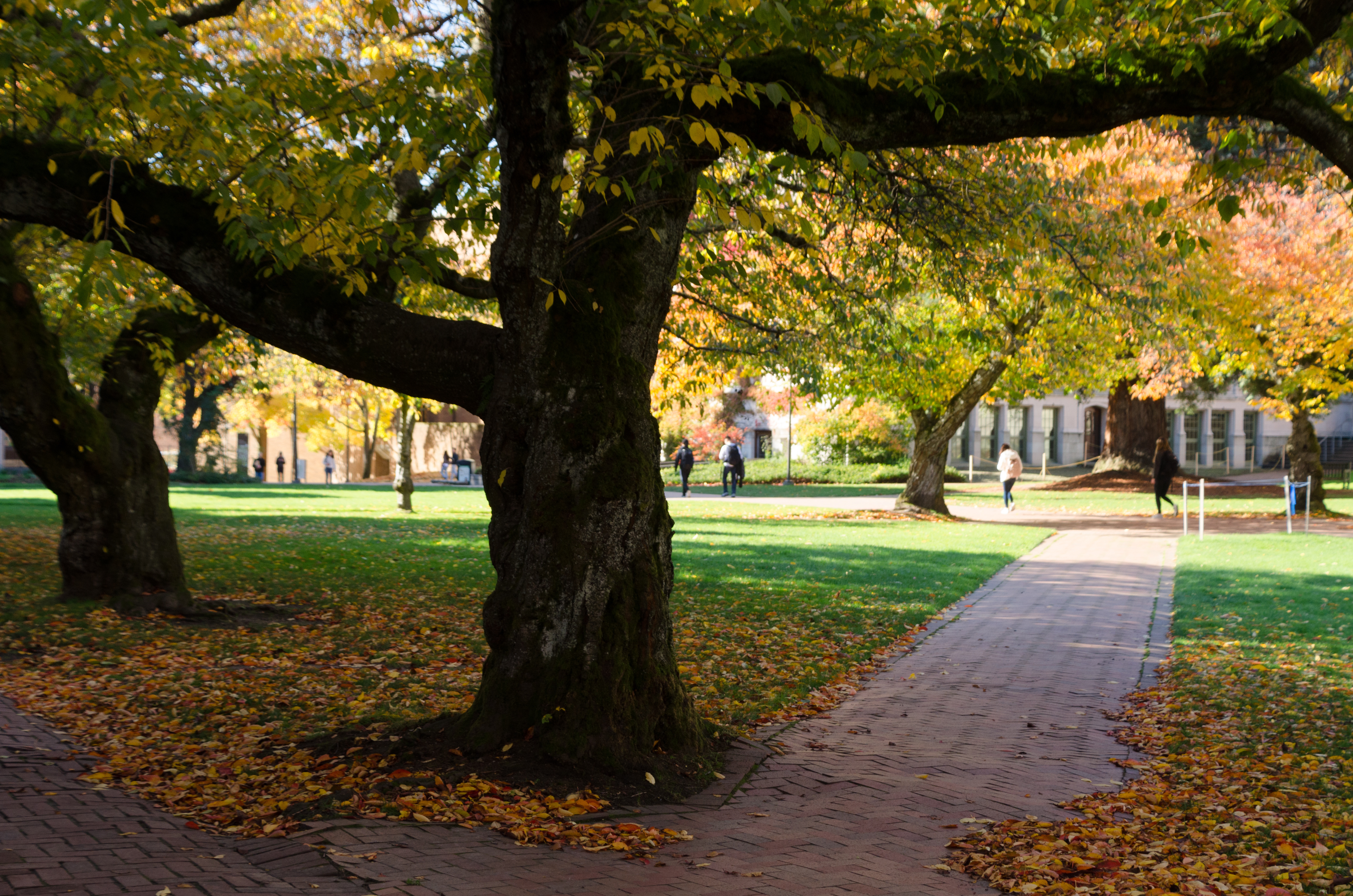 How Higher Education Can Design Learning Pathways That Last
